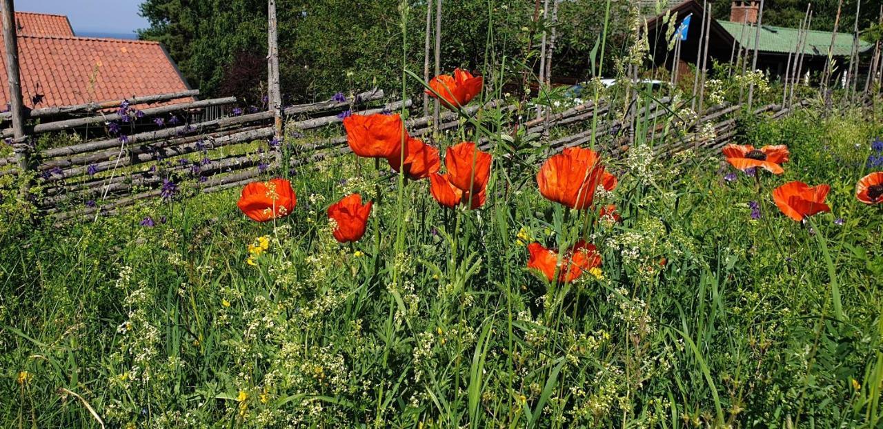 Villa Vy Rättvik المظهر الخارجي الصورة